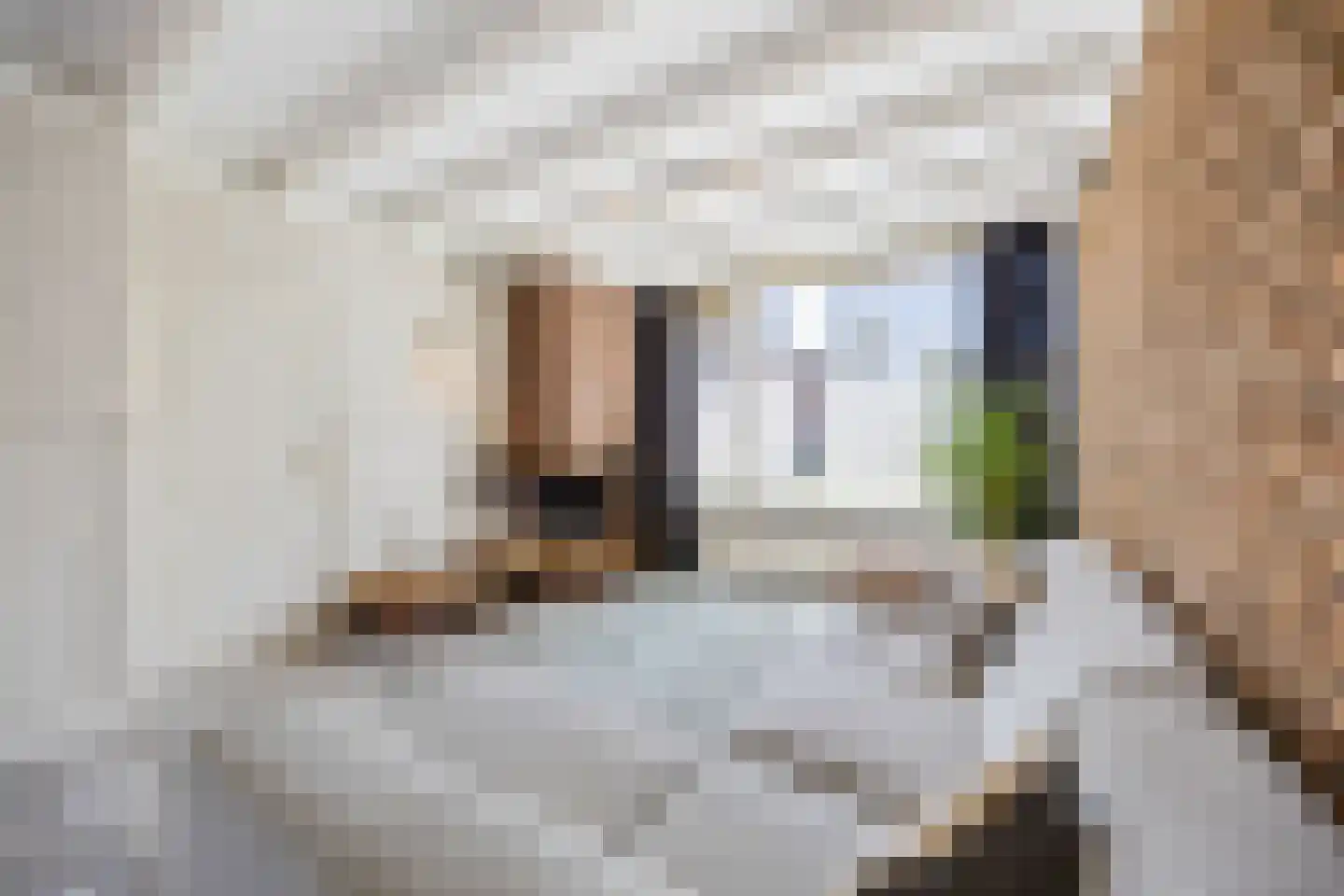 Fagot 20 Ewijk thumbnail 5