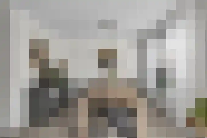 Fagotdreef 10 Harderwijk thumbnail 15