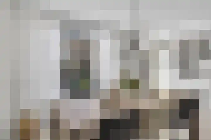 Fagotdreef 10 Harderwijk thumbnail 16