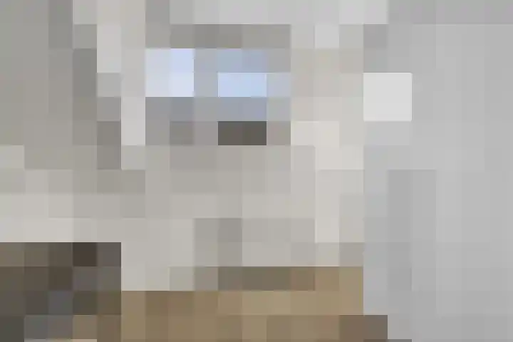 Fagotdreef 10 Harderwijk thumbnail 28