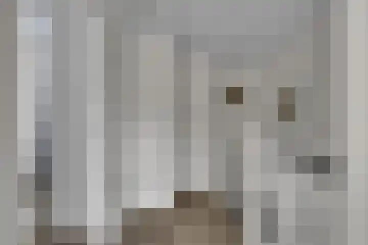 Fagotdreef 10 Harderwijk thumbnail 30