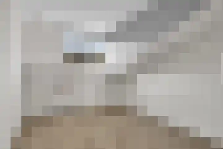 Fagotdreef 10 Harderwijk thumbnail 32