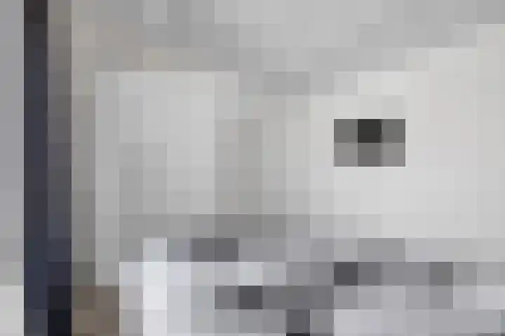 Fagotdreef 10 Harderwijk thumbnail 35