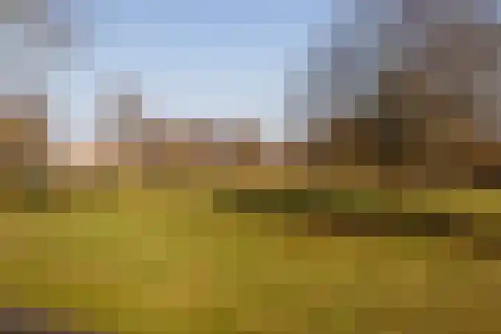 Fagotdreef 10 Harderwijk thumbnail 39