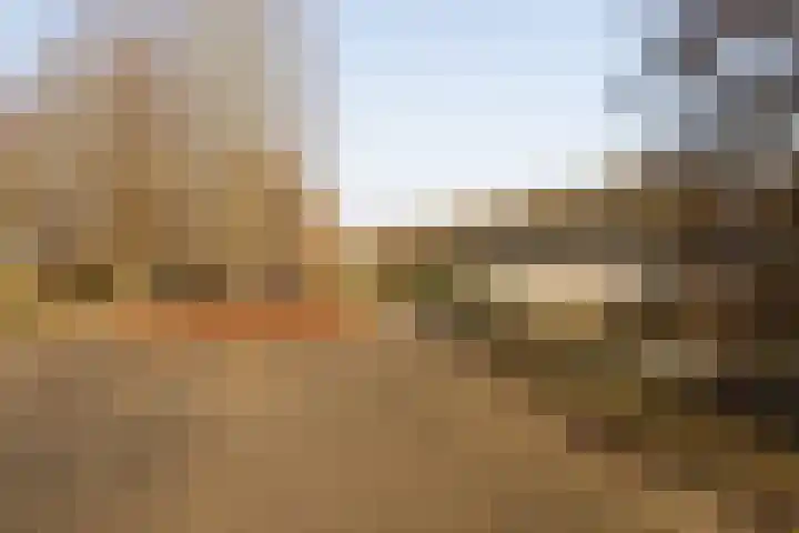 Fagotdreef 10 Harderwijk thumbnail 40