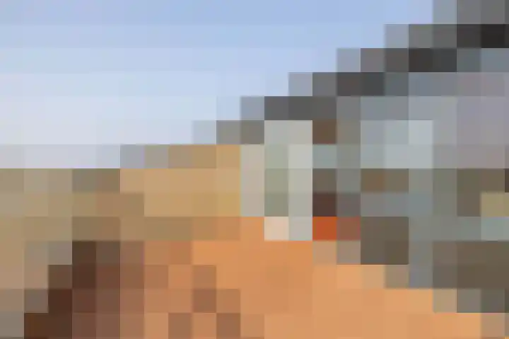 Fagotdreef 55 Harderwijk thumbnail 10