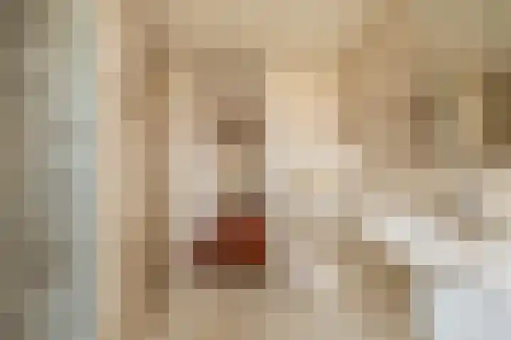 Fagotdreef 55 Harderwijk thumbnail 28