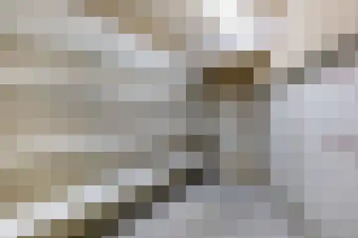 Fagotdreef 55 Harderwijk thumbnail 31