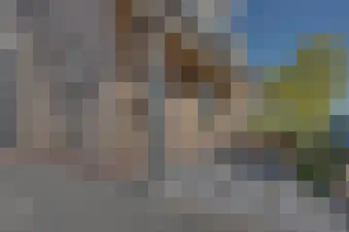 Fagotlaan 21 Goes thumbnail 10