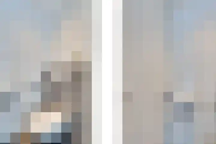 Fagotlaan 21 Goes thumbnail 12