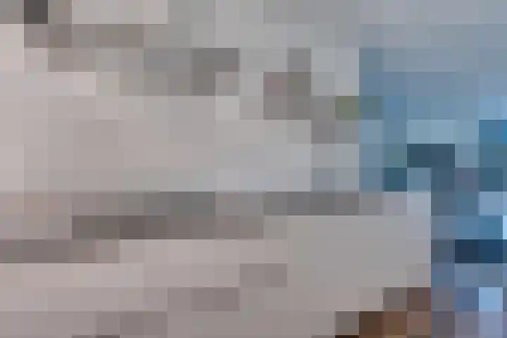 Fagotlaan 21 Goes thumbnail 16