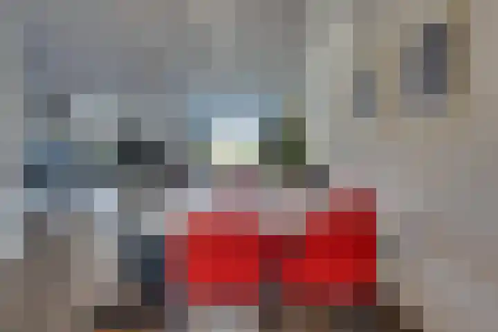 Fagotlaan 21 Goes thumbnail 18