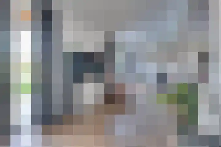 Fagotlaan 21 Goes thumbnail 28