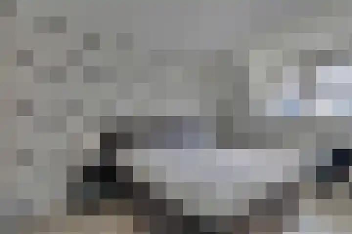 Fagotlaan 21 Goes thumbnail 38