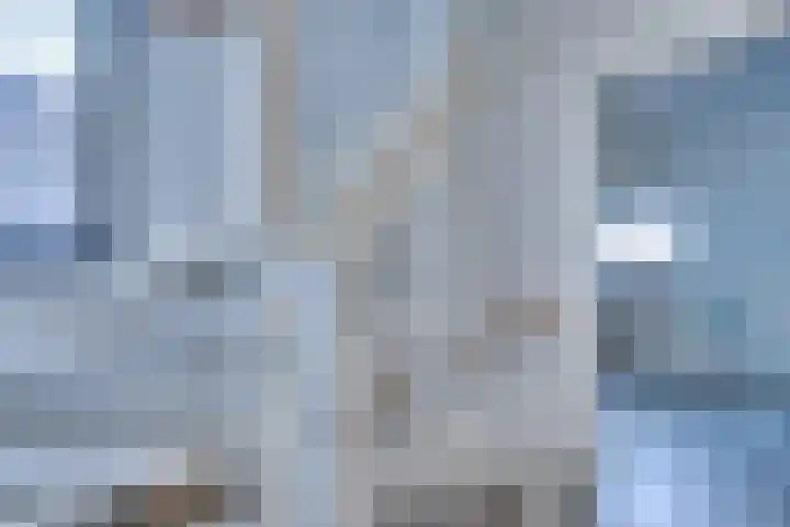 Fagotlaan 21 Goes thumbnail 41