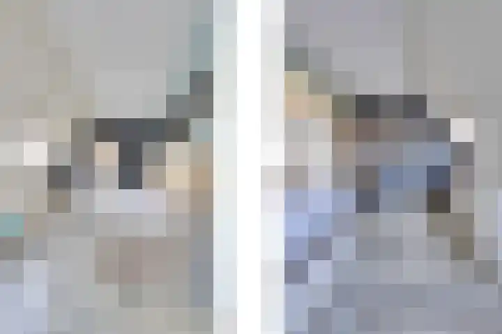 Fagotlaan 21 Goes thumbnail 43