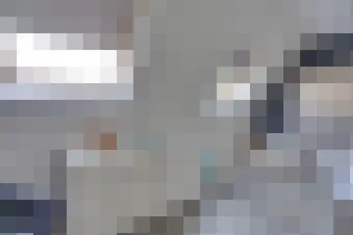 Fagotlaan 21 Goes thumbnail 46
