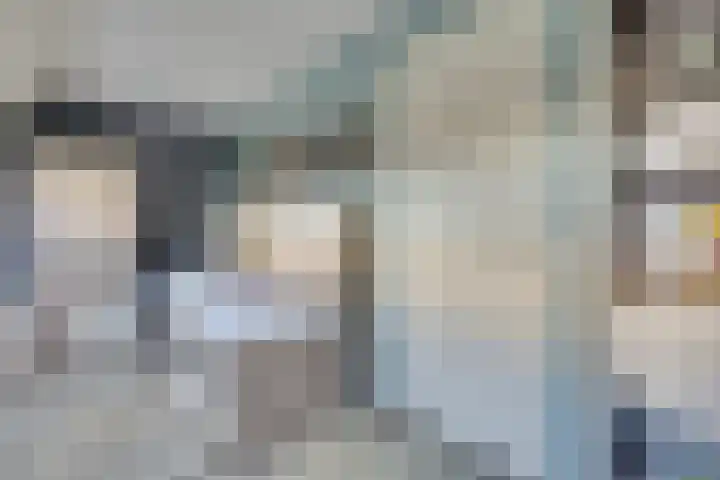 Fagotlaan 21 Goes thumbnail 47