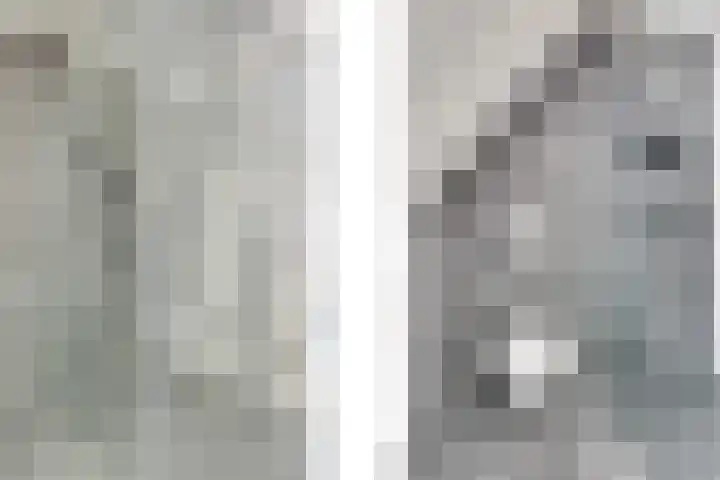 Fagotlaan 21 Goes thumbnail 49