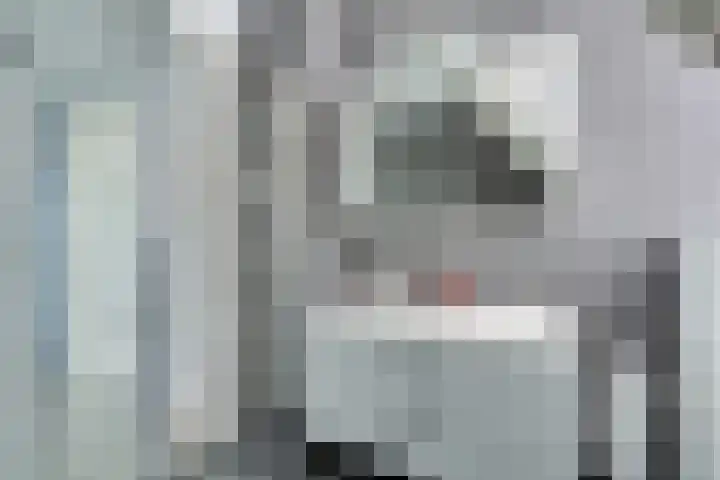 Fagotlaan 21 Goes thumbnail 50