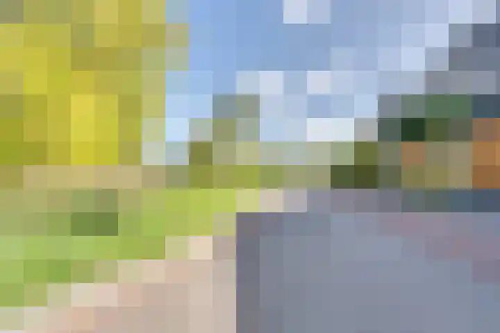 Fagotlaan 21 Goes thumbnail 6