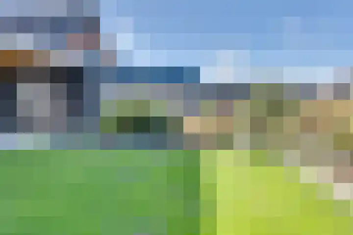 Fagotlaan 21 Goes thumbnail 60