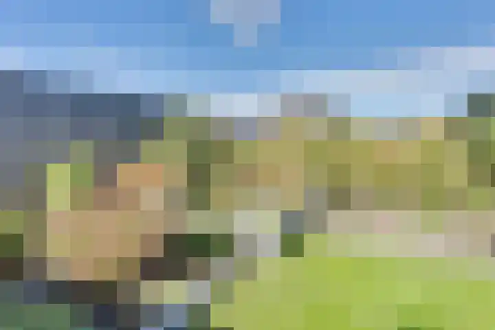 Fagotlaan 21 Goes thumbnail 61