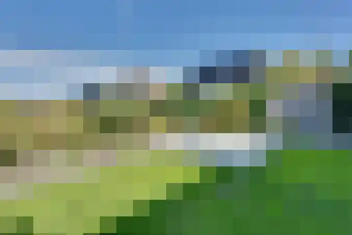 Fagotlaan 21 Goes thumbnail 62