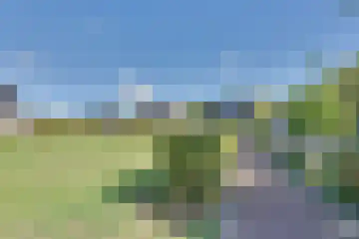 Fagotlaan 21 Goes thumbnail 71