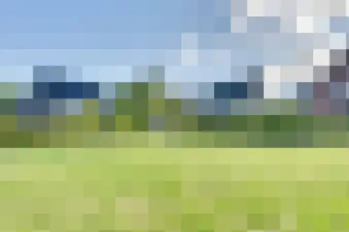 Fagotlaan 21 Goes thumbnail 72