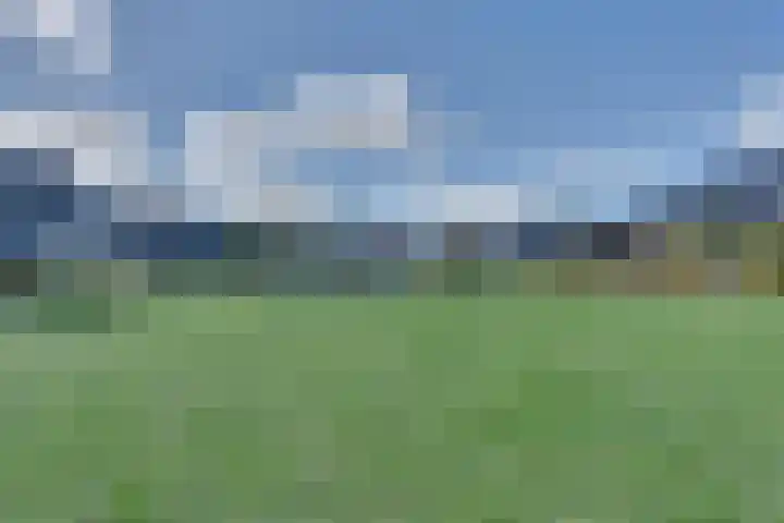 Fagotlaan 21 Goes thumbnail 73