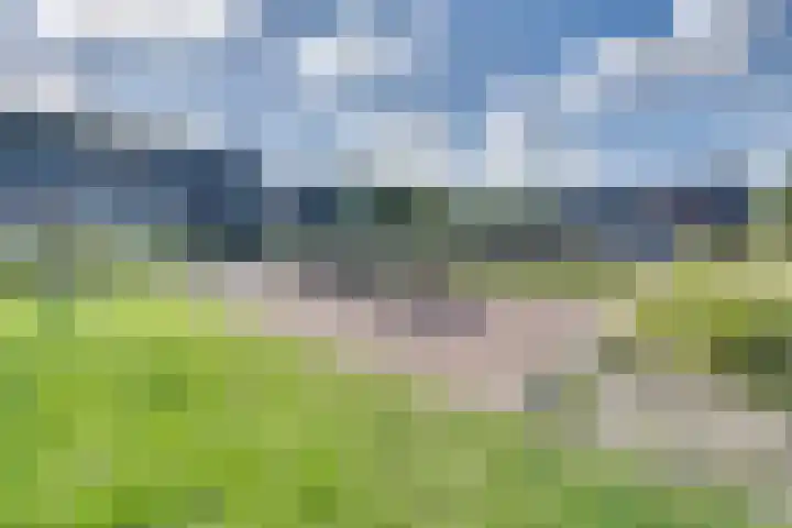 Fagotlaan 21 Goes thumbnail 74