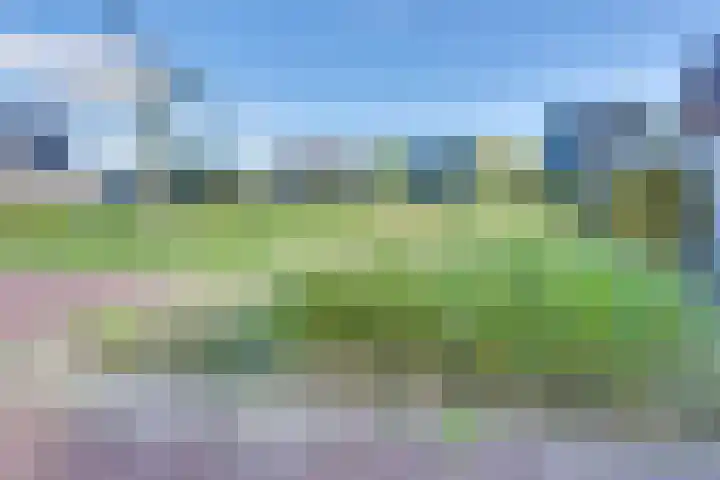 Fagotlaan 21 Goes thumbnail 77