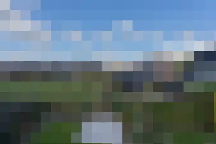 Fagotlaan 21 Goes thumbnail 79