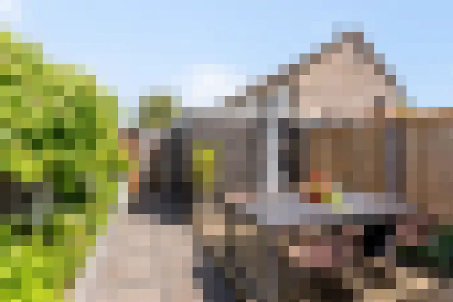 Fagotlaan 6 Oldenzaal thumbnail 18