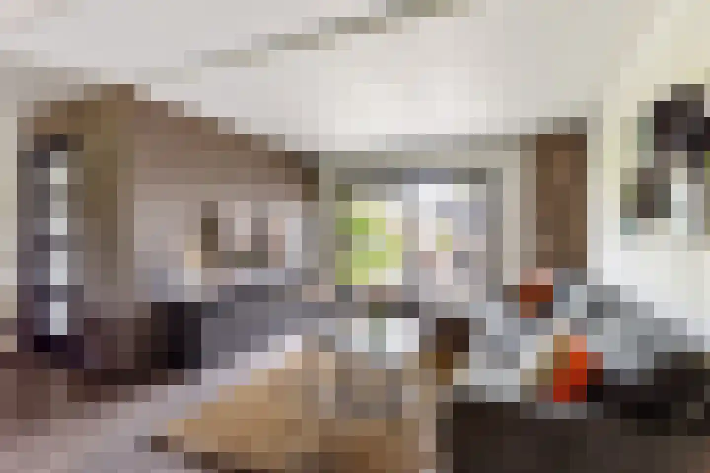 Fagotlaan 6 Oldenzaal thumbnail 7