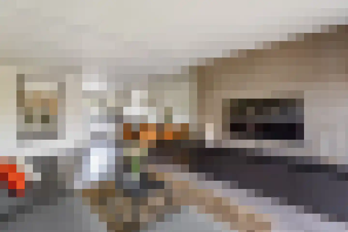 Fagotlaan 6 Oldenzaal thumbnail 8