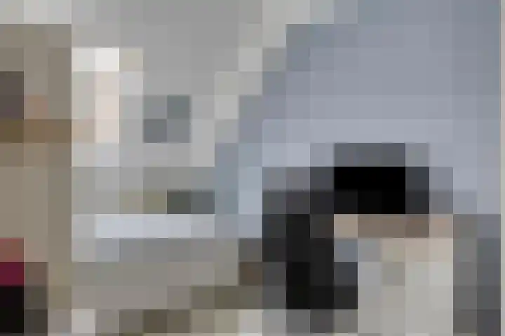 Fagotlaan 7 Goes thumbnail 19