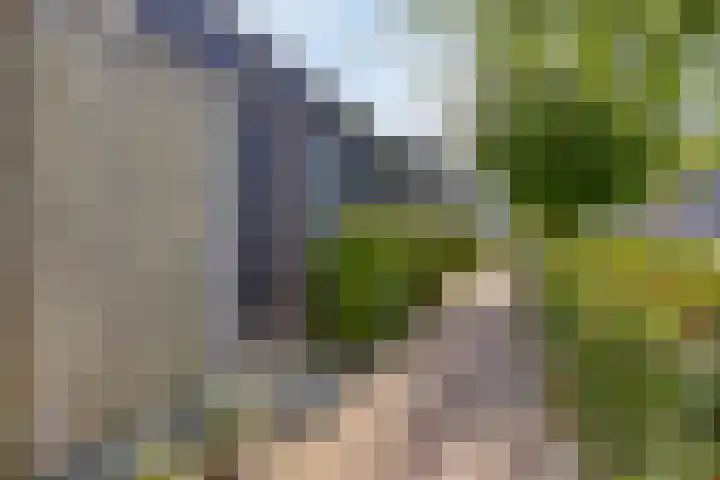 Fagotlaan 7 Goes thumbnail 24
