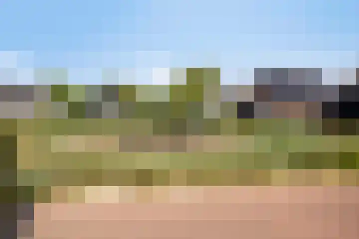 Fagotlaan 7 Goes thumbnail 27