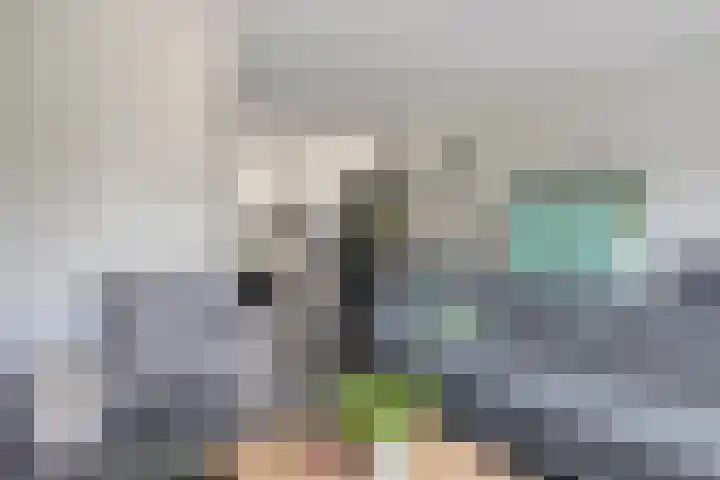 Fagotlaan 7 Goes thumbnail 7