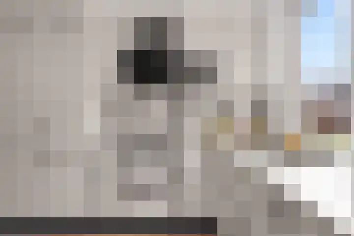 Fagotpad 8 Amersfoort thumbnail 17