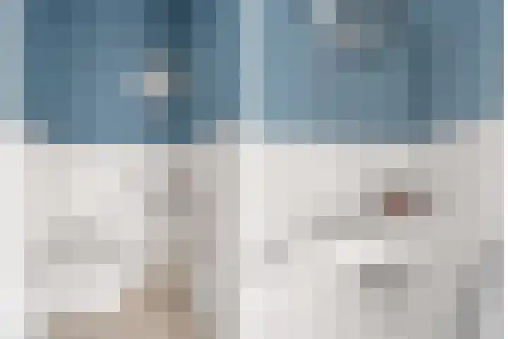 Fagotpad 8 Amersfoort thumbnail 19