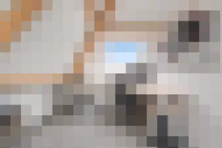 Fagotpad 8 Amersfoort thumbnail 37