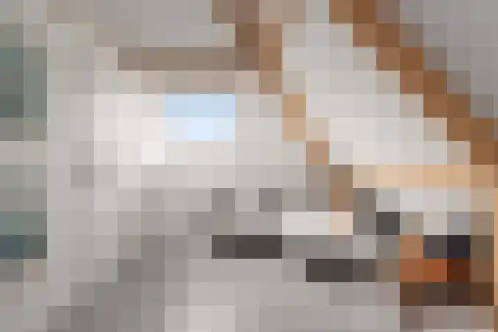 Fagotpad 8 Amersfoort thumbnail 38