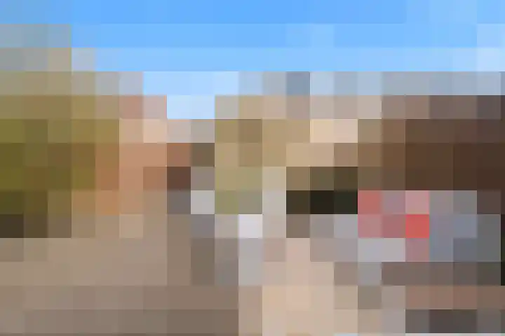 Fagotpad 8 Amersfoort thumbnail 39