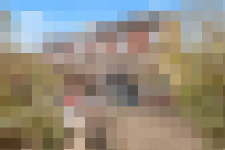 Fagotpad 8 Amersfoort thumbnail 43