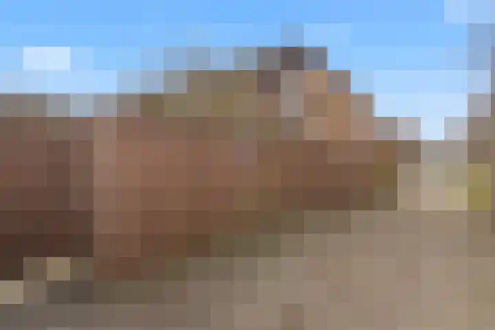 Fagotpad 8 Amersfoort thumbnail 46