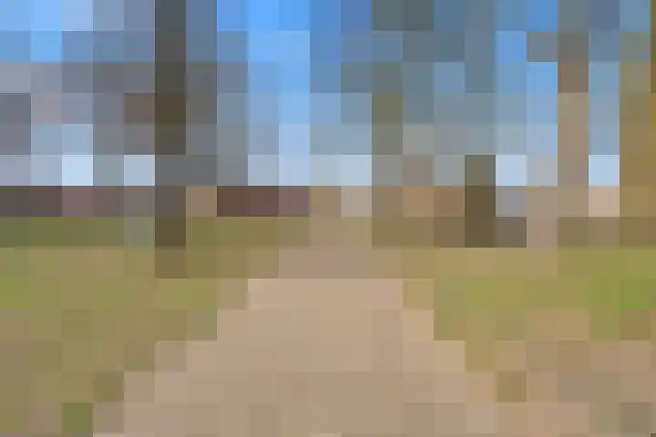 Fagotpad 8 Amersfoort thumbnail 50