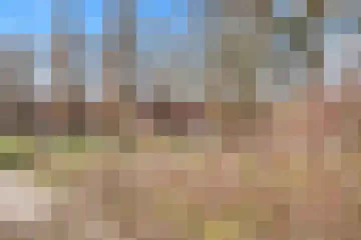 Fagotpad 8 Amersfoort thumbnail 52